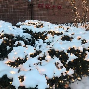 Meet your Posher, Summer